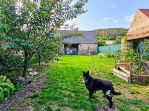 Prodej rodinného domu, Hředle, 398 m2