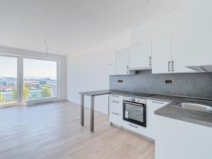 Pronájem bytu 1+kk, Olomouc - Řepčín, Aloise Rašína, 35 m2