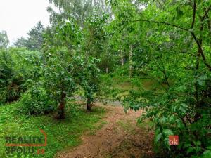 Prodej bytu 2+1, Plzeň - Doubravka, Ke Špitálskému lesu, 58 m2