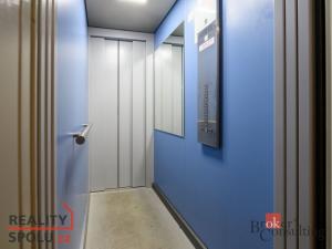 Prodej bytu 2+1, Plzeň - Doubravka, Ke Špitálskému lesu, 58 m2