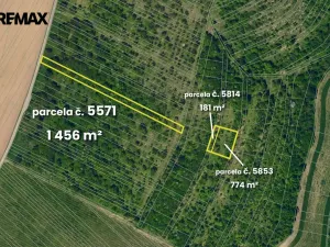 Prodej pole, Lovčice, 5541 m2