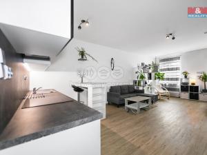 Prodej bytu 1+kk, Plzeň - Severní Předměstí, alej Svobody, 47 m2