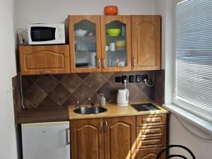 Prodej bytu 1+kk, Karlovy Vary - Stará Role, Okružní, 41 m2