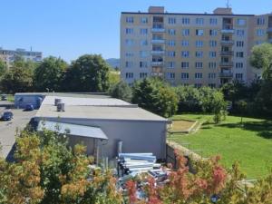 Prodej bytu 1+kk, Karlovy Vary - Stará Role, Okružní, 41 m2