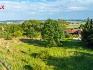 Prodej pozemku pro bydlení, Bačalky, 2594 m2