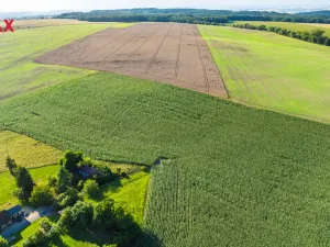 Prodej zahrady, Bačalky, 2482 m2