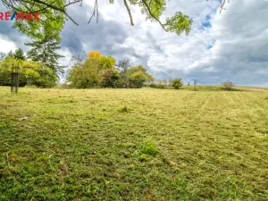Prodej zahrady, Bačalky, 2482 m2