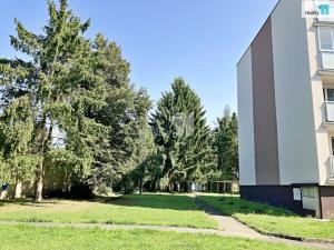 Prodej bytu 3+1, Staňkov - Staňkov I, Na Tržišti, 80 m2