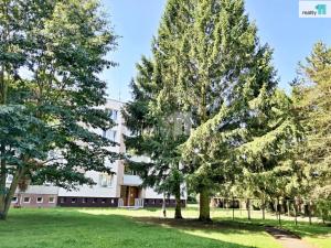 Prodej bytu 3+1, Staňkov - Staňkov I, Na Tržišti, 80 m2