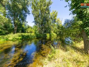 Prodej chaty, Nové Bránice, 40 m2