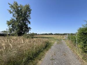 Prodej zahrady, Mělník, Na Staré cestě, 276 m2