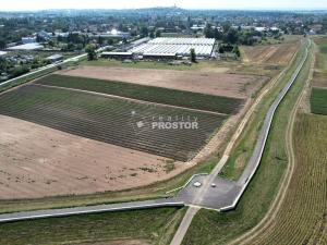 Prodej zahrady, Mělník, Na Staré cestě, 276 m2