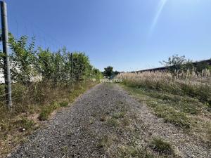 Prodej zahrady, Mělník, Na Staré cestě, 276 m2