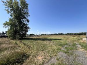 Prodej zahrady, Mělník, Na Staré cestě, 276 m2