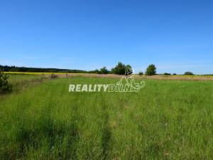 Prodej pozemku pro bydlení, Zlatá, 900 m2