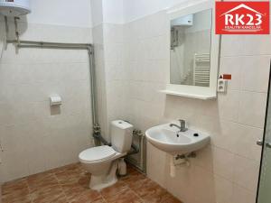 Pronájem bytu 1+kk, Velká Hleďsebe, Pohraniční stráže, 30 m2
