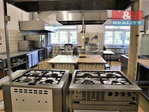 Pronájem restaurace, Miletín, náměstí K. J. Erbena, 300 m2
