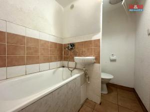 Pronájem bytu 1+kk, Klášterec nad Ohří - Miřetice u Klášterce nad Ohří, Královéhradecká, 19 m2