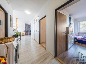 Prodej bytu 3+1, Ostrožská Nová Ves, Mírová, 86 m2