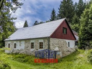 Prodej rodinného domu, Horní Stropnice - Hojná Voda, 550 m2