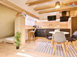 Prodej bytu 1+kk, Jindřichův Hradec - Jindřichův Hradec III, Mlýnská, 65 m2
