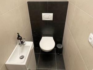 Pronájem bytu 4+kk, Cheb, Boženy Němcové, 115 m2