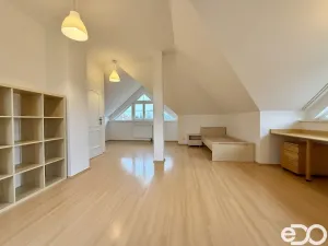 Pronájem bytu 4+kk, Praha, Granátová, 171 m2