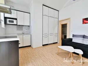 Pronájem bytu 2+kk, Brno - Ponava, Kartouzská, 44 m2
