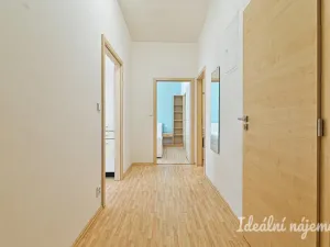 Pronájem bytu 2+kk, Brno - Ponava, Kartouzská, 44 m2
