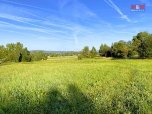 Prodej louky, Škrdlovice, 11513 m2