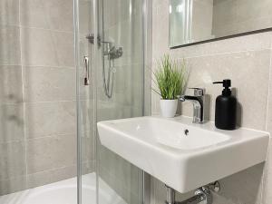 Pronájem bytu 1+1, Litvínov, U Bílého sloupu, 42 m2