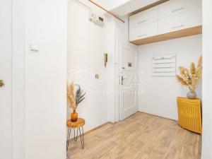 Pronájem bytu 1+kk, Praha - Smíchov, Kotevní, 30 m2