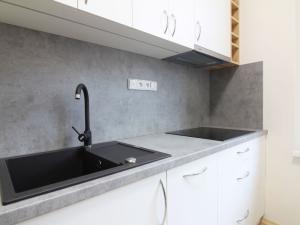 Pronájem bytu 1+1, Olomouc, Univerzitní, 46 m2