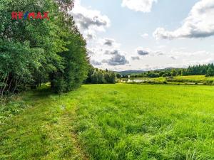 Prodej komerčního pozemku, Nová Pec, 16305 m2