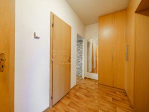 Prodej bytu 2+1, Ostrov, Severní, 55 m2