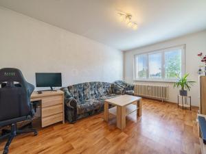 Prodej bytu 2+1, Ostrov, Severní, 55 m2