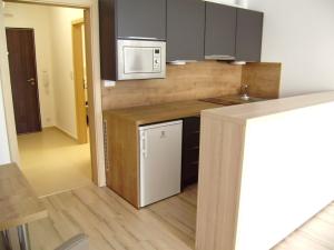 Pronájem bytu 1+kk, Praha, Svitákova, 37 m2