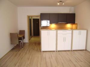 Pronájem bytu 1+kk, Praha, Svitákova, 37 m2