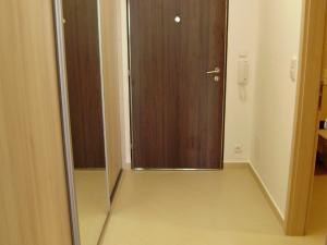 Pronájem bytu 1+kk, Praha, Svitákova, 37 m2