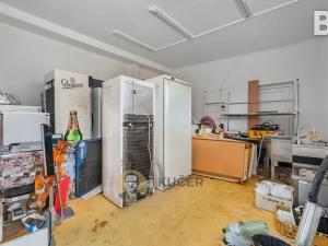 Prodej výrobních prostor, Velká Chmelištná, 550 m2