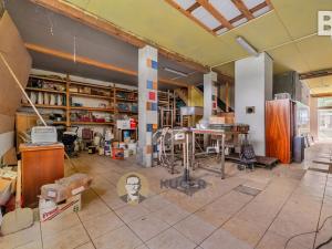 Prodej komerční nemovitosti, Velká Chmelištná, 550 m2