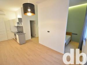 Pronájem bytu 1+kk, Karlovy Vary, Raisova, 32 m2