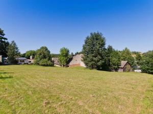 Prodej zemědělské usedlosti, Horní Pěna, 450 m2