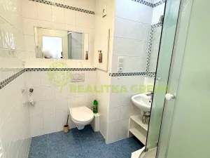 Pronájem bytu 1+1, Otrokovice, Luční, 33 m2