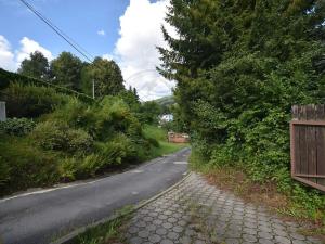 Prodej komerční nemovitosti, Česká Ves, Úzká, 280 m2