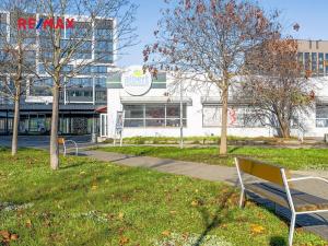 Pronájem bytu 2+kk, Praha - Karlín, Nekvasilova, 40 m2