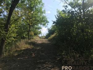 Prodej zahrady, Kobeřice u Brna, 2052 m2