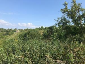 Prodej zahrady, Kobeřice u Brna, 2052 m2