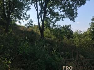 Prodej zahrady, Kobeřice u Brna, 2052 m2