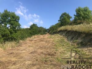 Prodej zahrady, Kobeřice u Brna, 2052 m2